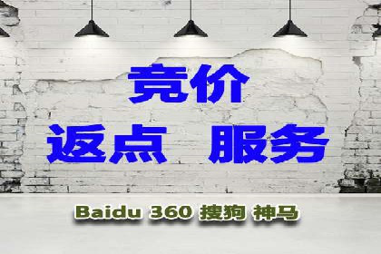 百度竞价赚钱攻略：实战案例分享